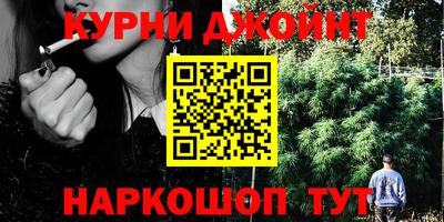 кокс Донской