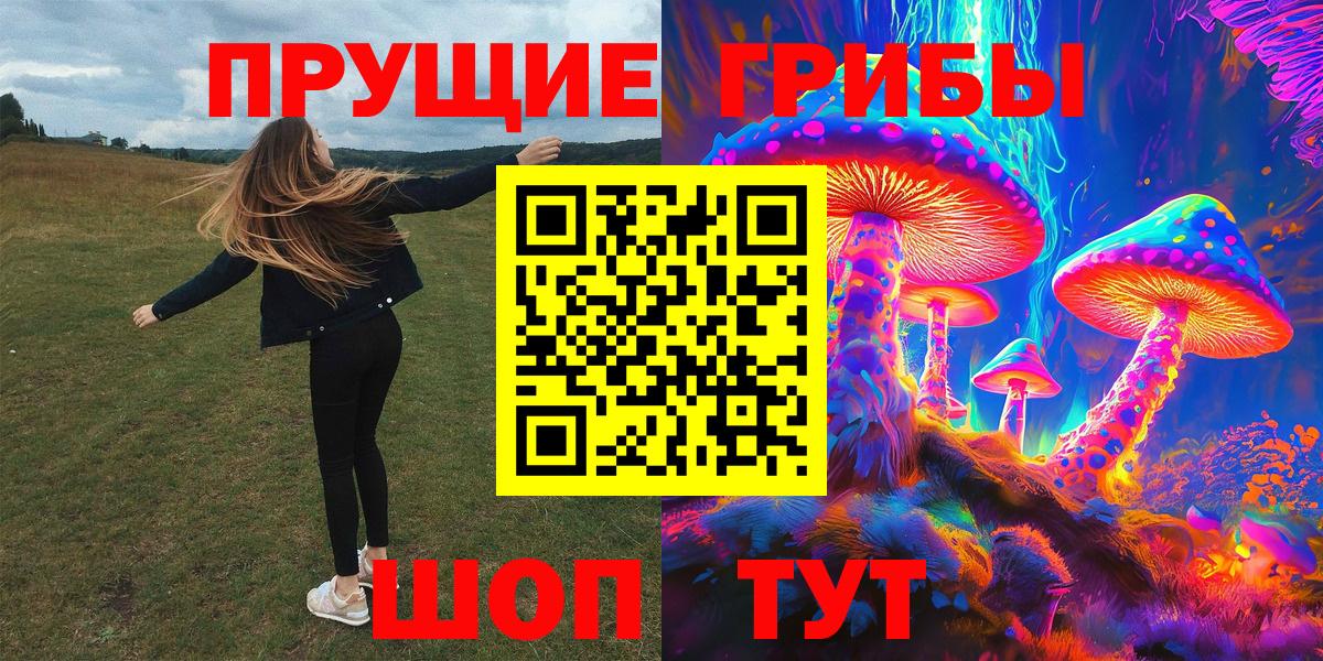 как найти   Псилоцибиновые грибы Magic Shrooms  Вход с VPN  Кыштым 